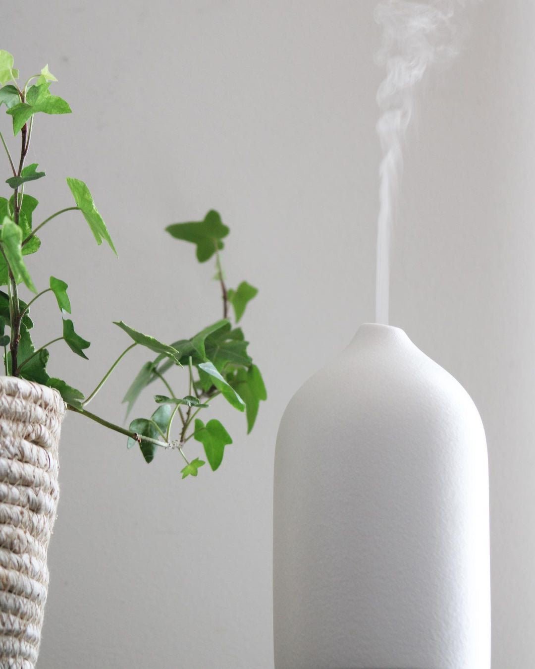 Diffuseur huile essentielle - Blanche élégance - Maison Douce shop